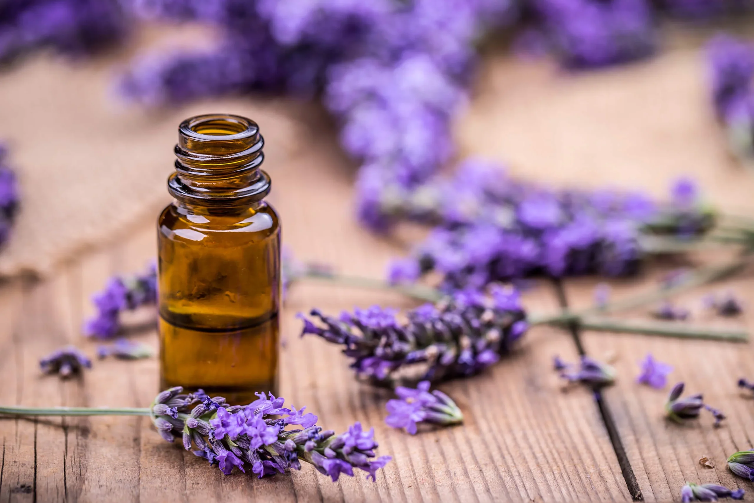 Why Lavender Essential Oil is the Queen of Relaxation